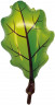 Шар (27''/69 см) Фигура, Дубовый лист, Зеленый