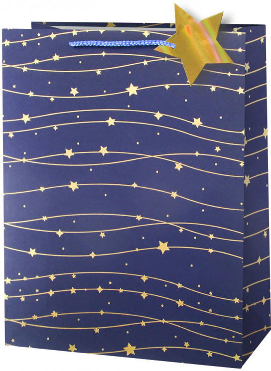 Пакет подарочный, Звезды Ассорти, Дизайн №3, Металлик, 23,5*19,5*8 см