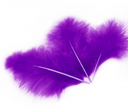 Перья, Фиолетовый