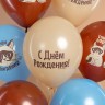 Шар (12''/30 см) С Днем Рождения! (сердитая кошка), Ассорти, пастель, 2 ст. - в магазине «ШарикClub»