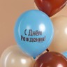Шар (12''/30 см) С Днем Рождения! (сердитая кошка), Ассорти, пастель, 2 ст. - в магазине «ШарикClub»