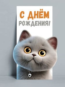 Конверты для денег, С Днем Рождения! (котик), 8,4*17,2 см