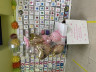 Шары в коробке на День Рождения №3 - в магазине «ШарикClub»