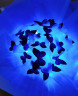 Светящийся букет с бабочками, синий