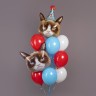 Шар (35''/89 см) Фигура, Сердитая кошка в колпаке