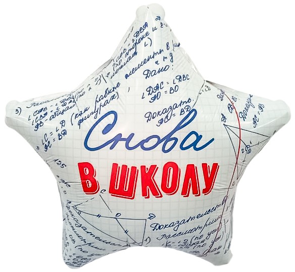 Шар (19''/48 см) Звезда, Снова в Школу