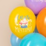 Шар (12''/30 см) С Днем Рождения, Следуй за мечтами!, Ассорти, пастель