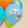 Шар (12''/30 см) С Днем Рождения, Следуй за мечтами!, Ассорти, пастель
