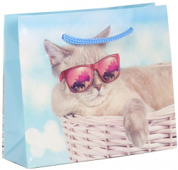 Пакет подарочный, Котик в солнечных очках, 61*46*20 см, 1 шт.